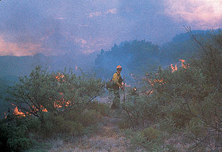 Firefighter in brush fire.