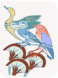 Birds.