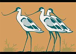 Cranes.
