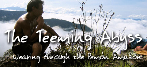 The Teeming Abyss: Weaving through the Pem&oacute;n Amazon