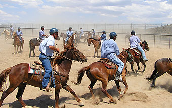 Inmates on mustanges at the Warm Springs Correctional Center in Carson City, Nevada.