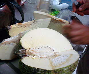Breadfruit
