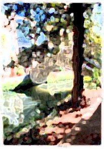 Arching stone footbridge above the San Antonio River