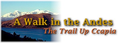 A Walk in the Andes: The Trail Up Ccapia
