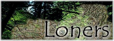 Loners, by Will Nixon