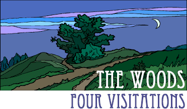 The Woods: Four Visitations, by Christopher Woods