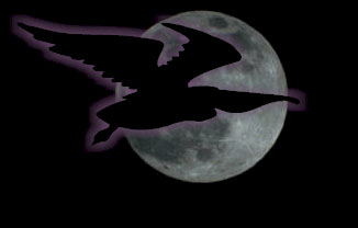 Ghoulish moonbird and full moon.