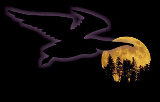 Ghoulish moonbird and full moon.