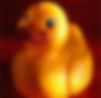 Rubber duck