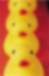 Rubber duck