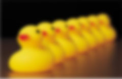 Rubber duck