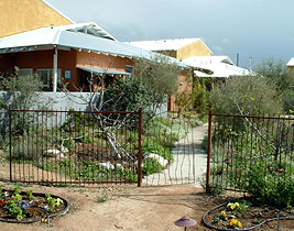 View from Sonora Cohousing garden.