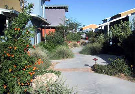 Sonora Cohousing paseos.