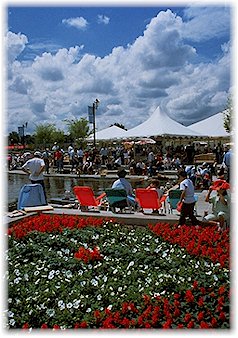 Crawdad Festival