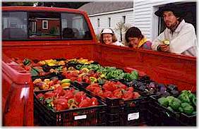 Organically grown produce. Photo courtesy Prairie Holdings Corp.